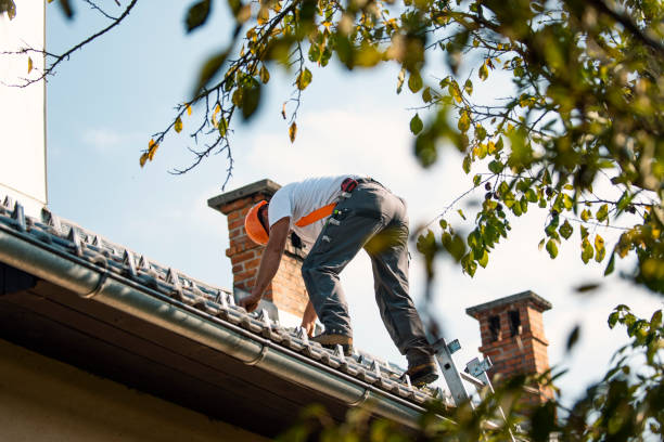 Best Storm Damage Roof Repair  in Germantown, IL
